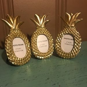 Set of 12 Pineapple picture frames